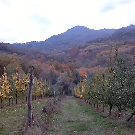 Κατάλυμα σε φάρμα Il Melo Fivizzano